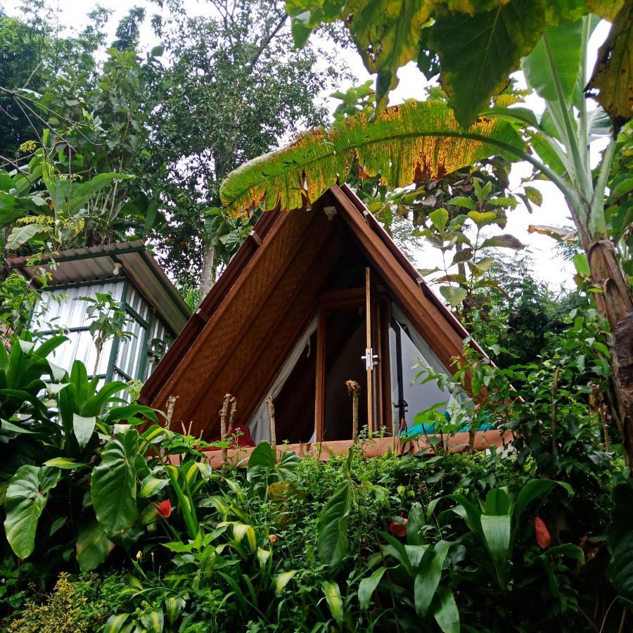 Eco Bedugul Adventurer Camp Bed & Breakfast Luaran gambar