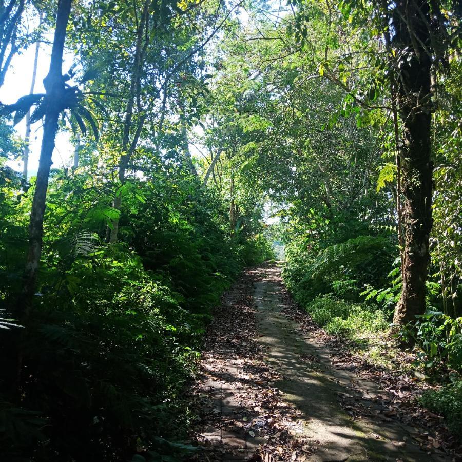 Eco Bedugul Adventurer Camp Bed & Breakfast Luaran gambar