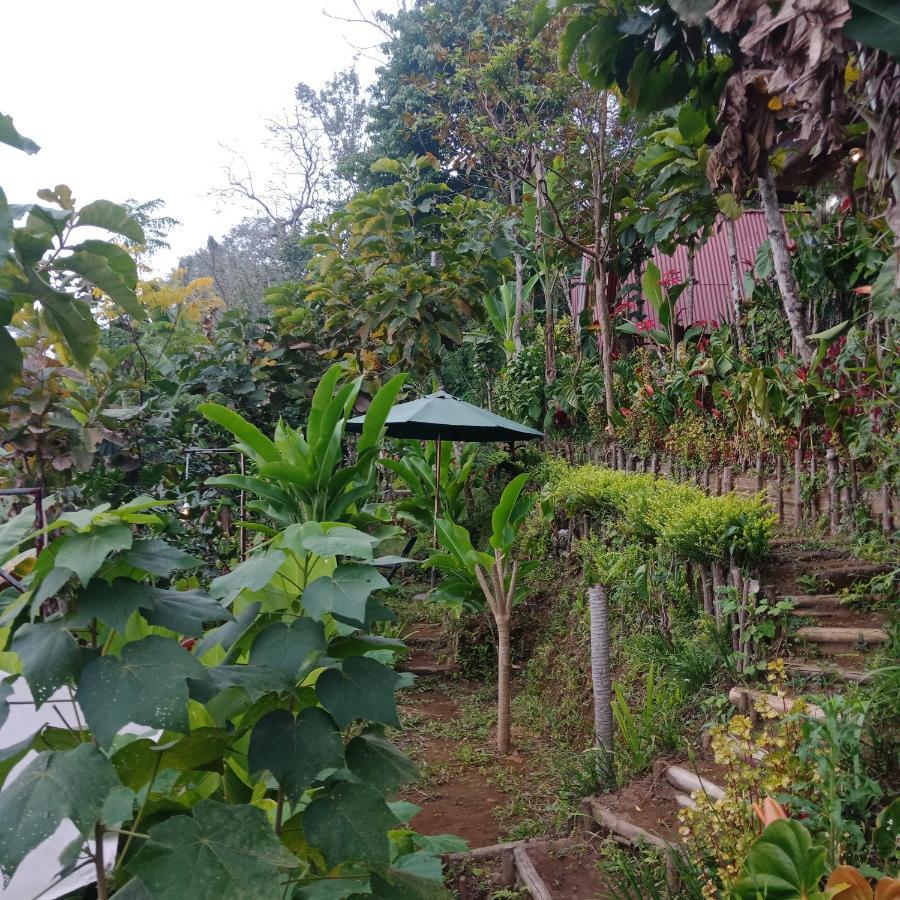 Eco Bedugul Adventurer Camp Bed & Breakfast Luaran gambar
